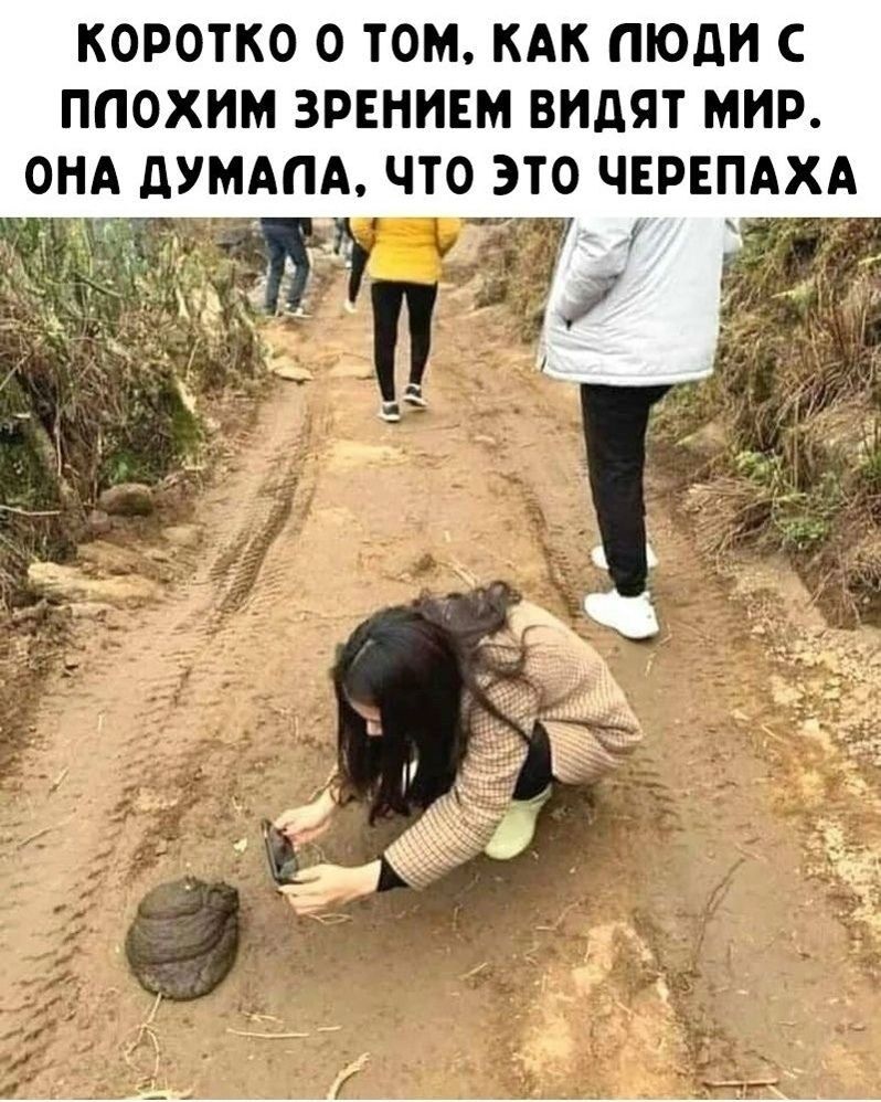 КОРОТКО О ТОМ, КАК ЛЮДИ С ПЛОХИМ ЗРЕНИЕМ ВИДЯТ МИР. ОНА ДУМАЛА, ЧТО ЭТО ЧЕРЕПАХА