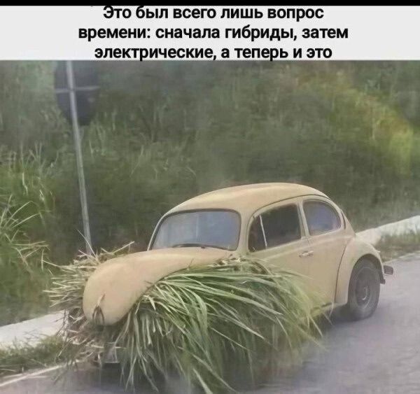 Это был всего лишь вопрос времени: сначала гибриды, затем электрические, а теперь и это