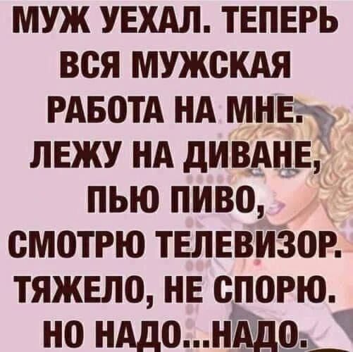 МУЖ УЕХАЛ. ТЕПЕРЬ ВСЯ МУЖСКАЯ РАБОТА НА МНЕ. ЛЕЖУ НА ДИВАНЕ, ПЬЮ ПИВО, СМОТРЮ ТЕЛЕВИЗОР. ТЯЖЕЛО, НЕ СПОРЮ. НО НАДО...НАДО.