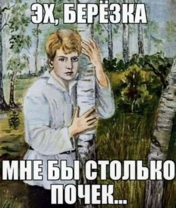 ЭХ, БЕРЁЗКА МНЕ БЫ СТОЛЬКО ПОЧЕК...