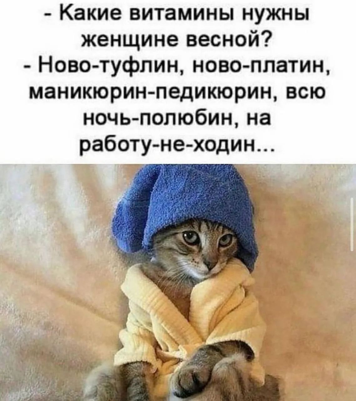 Какие витамины нужны женщине весной? Ново-туфлин, ново-платин, маникюрин-педикюрин, всю ночь-полюбин, на работу-не-ходин...