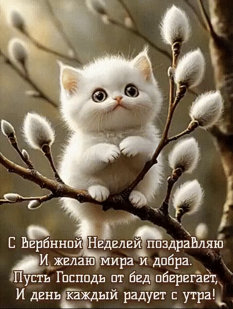 С Вербной Неделей поздравляю И желаю мира и добра. Пусть Господь от бед оберегает, И день каждый радует с утра!
