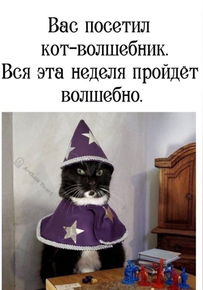 Вас посетил кот-волшебник. Вся эта неделя пройдёт волшебно.