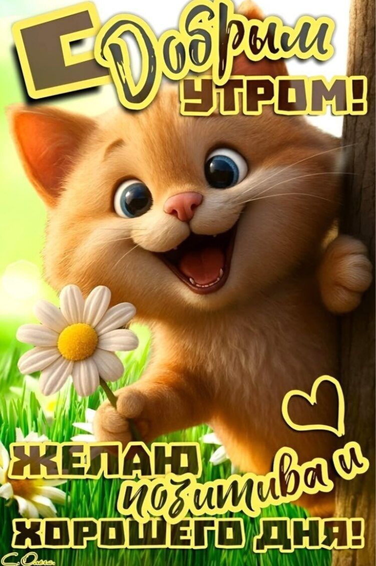 С Добрым утром! Желаю позитива и хорошего дня!