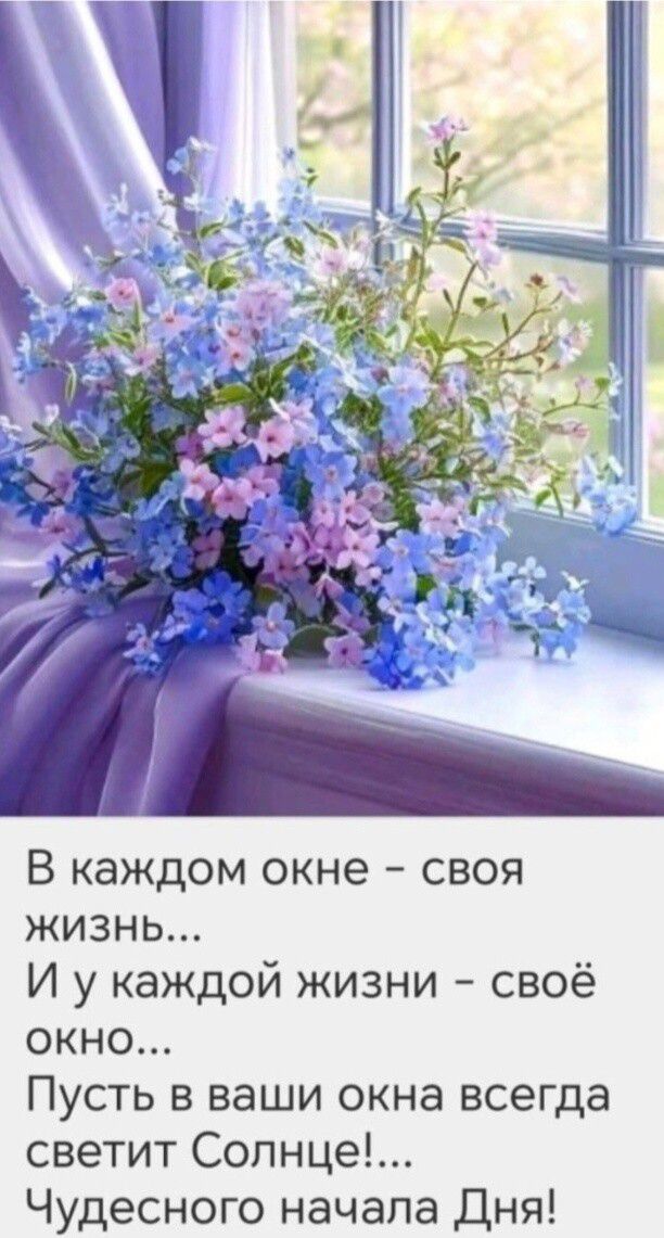 В каждом окне - своя жизнь... И у каждой жизни - своё окно... Пусть в ваши окна всегда светит Солнце!... Чудесного начала Дня!