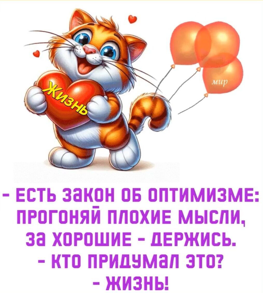 Жизнь мир - ЕСТЬ ЗАКОН ОБ ОПТИМИЗМЕ: ПРОГОНЯЙ ПЛОХИЕ МЫСЛИ, ЗА ХОРОШИЕ - ДЕРЖИСЬ. - КТО ПРИДУМАЛ ЭТО? - ЖИЗНЬ!