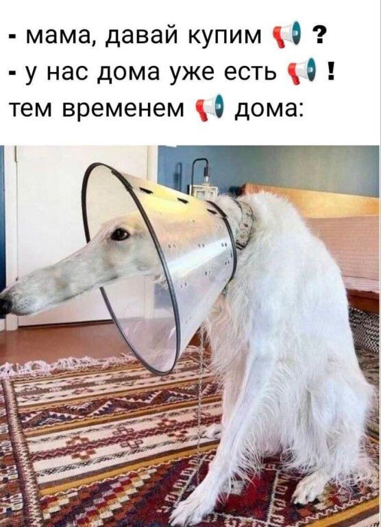- мама, давай купим 📢 ? - у нас дома уже есть 📢 ! тем временем 📢 дома: