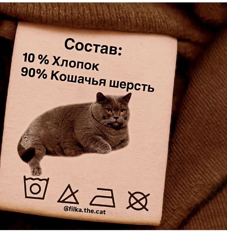 Состав: 10 % Хлопок 90 % Кошачья шерсть @filka.the.cat