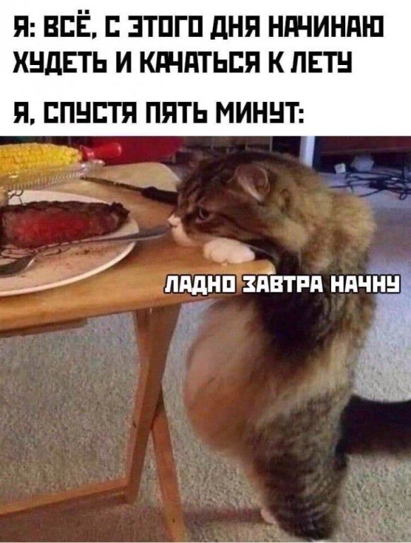 Я: ВСЁ, С ЭТОГО ДНЯ НАЧИНАЮ ХУДЕТЬ И КАЧАТЬСЯ К ЛЕТУ Я, СПУСТЯ ПЯТЬ МИНУТ: ЛАДНО ЗАВТРА НАЧНУ