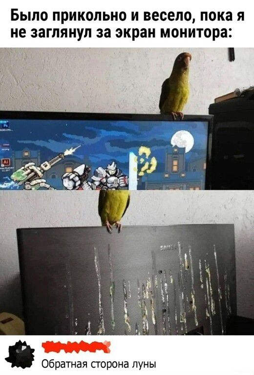 Было прикольно и весело, пока я не заглянул за экран монитора: Обратная сторона луны