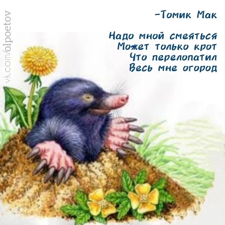 -Томик Мак
Надо мной смеяться
Может только крот
Что перелопатил
Весь мне огород