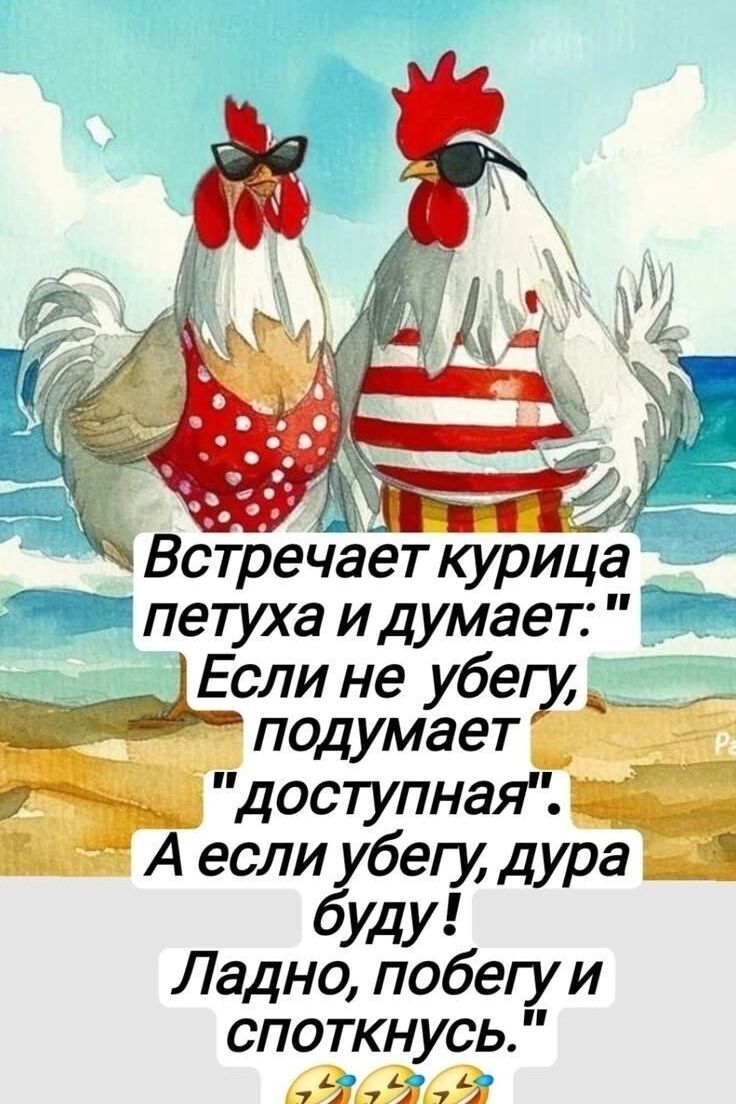 Встречает курица петуха и думает: 