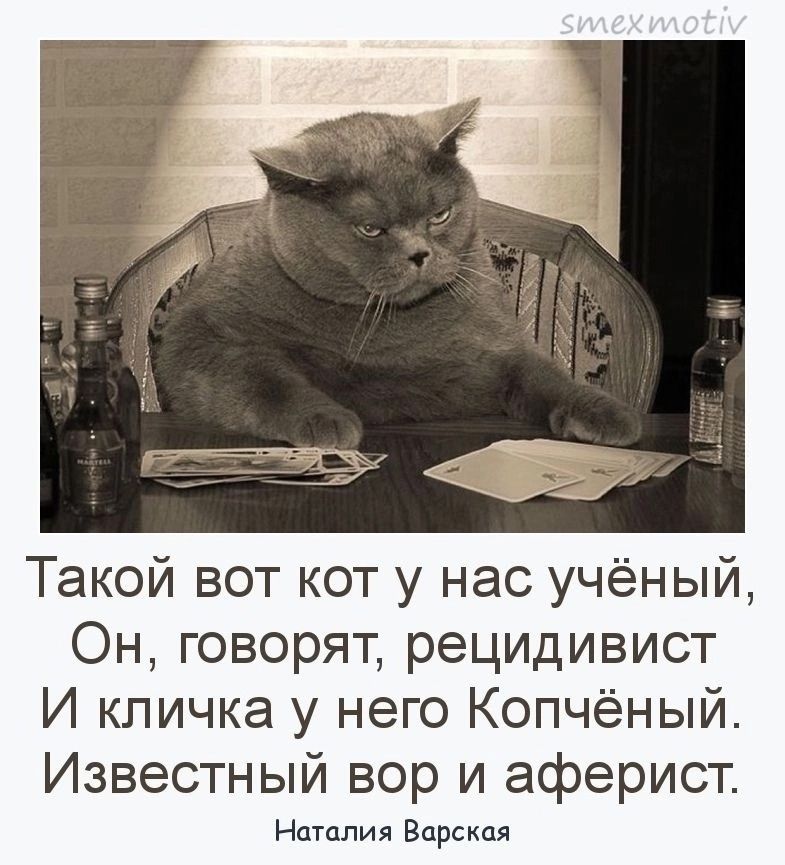 Такой вот кот у нас учёный, Он, говорят, рецидивист И кличка у него Копчёный. Известный вор и аферист. Наталия Варская