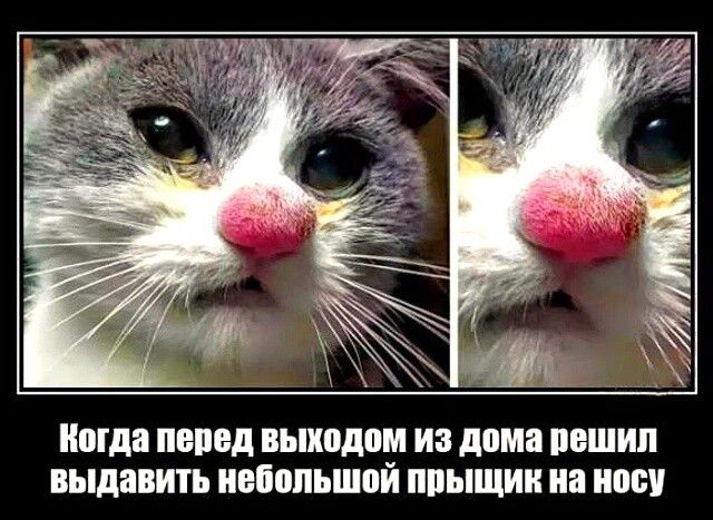 Когда перед выходом из дома решил выдавить небольшой прыщик на носу