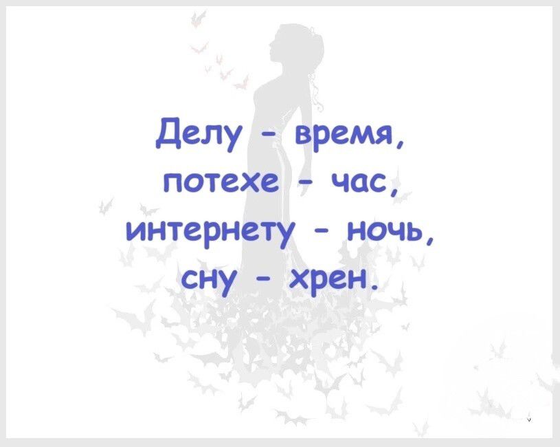 Делу – время, потехе – час, интернету – ночь, сну – хрен.