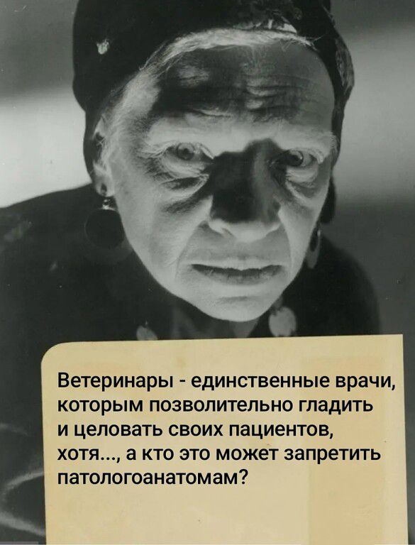 Ветеринары - единственные врачи, которым позволительно гладить и целовать своих пациентов, хотя..., а кто это может запретить патологоанатомам?
