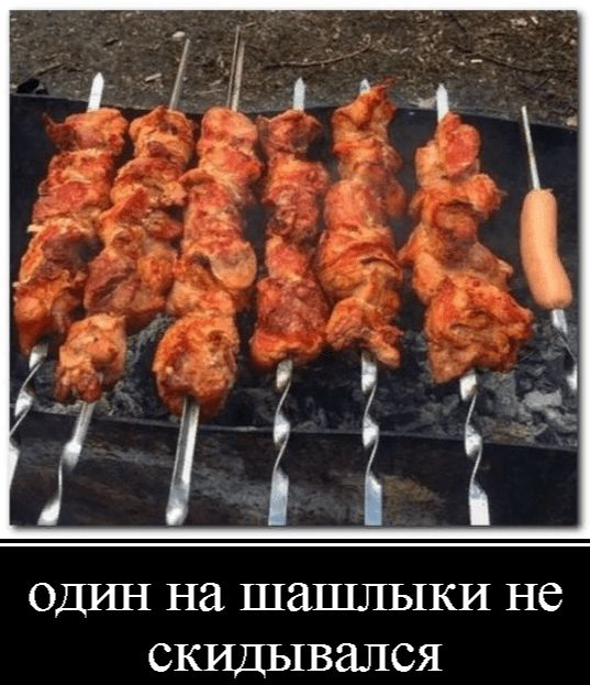 одрш на шашлыки не скидывался