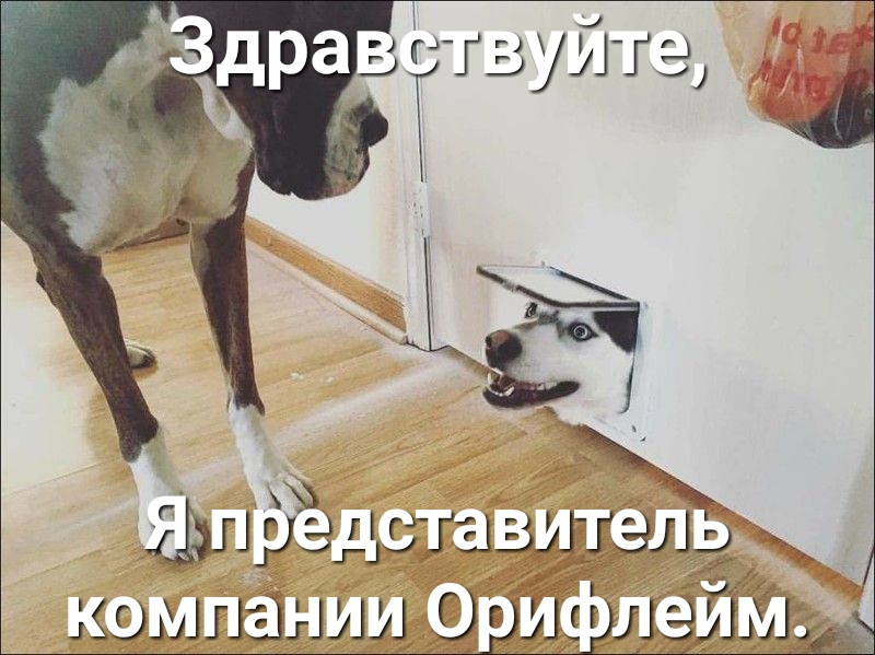 душат гтдщгЁ ЗЪ компании дл жали