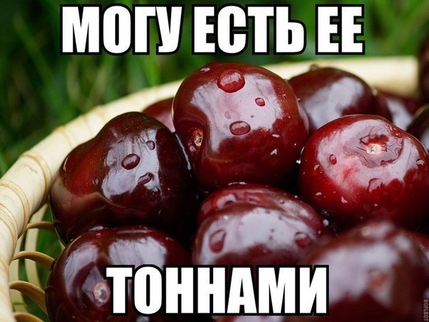 шага а а дают