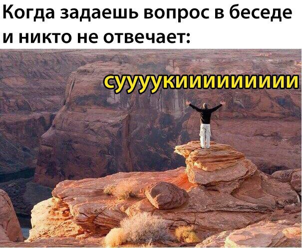 Когда задаешь вопрос в беседе и никто не отвечает псуууукілийийииий ёё Ё