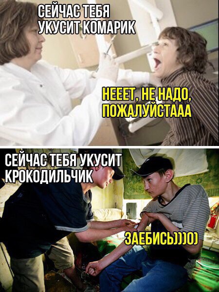 свичдсттвя укусит крокодильчик Г