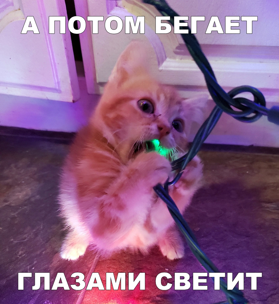 ГЛА АМИ СВЕТИТ ЁЁ щ