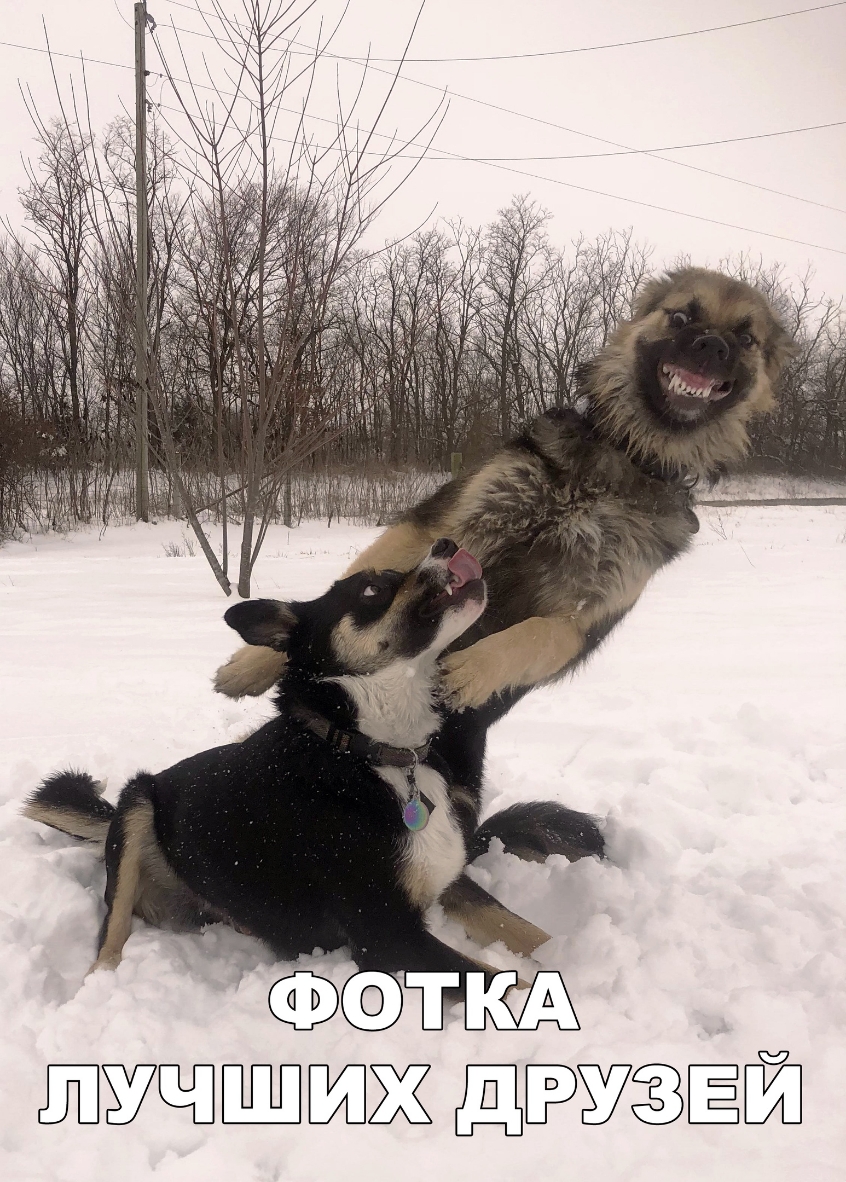 32 В мумии