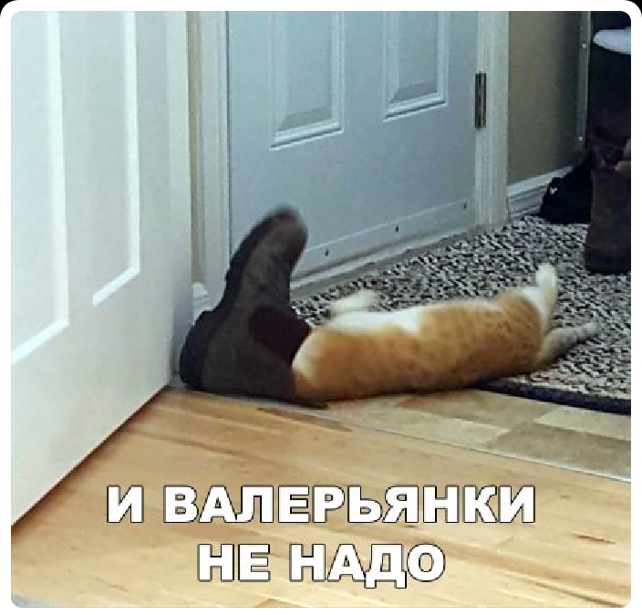 д _ Ш ЁЬЁЕЁП ЁЁ