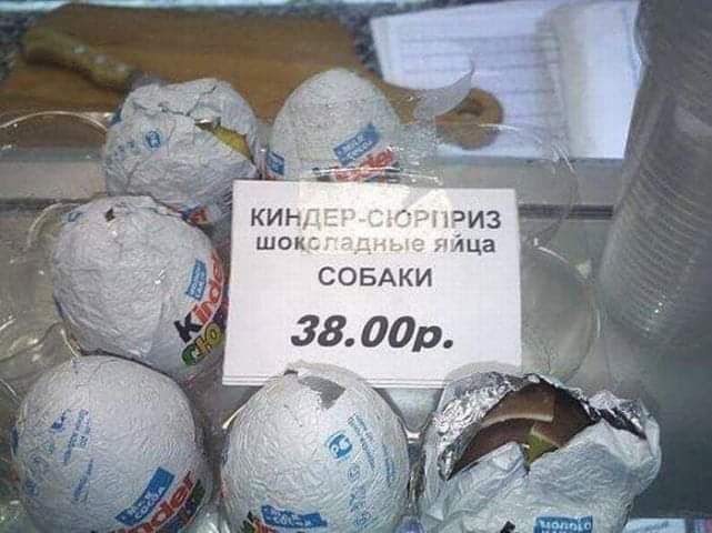 СОБАКИ 380017