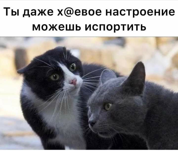 Ты даже хевое настроение можешь испортить ттіттГ