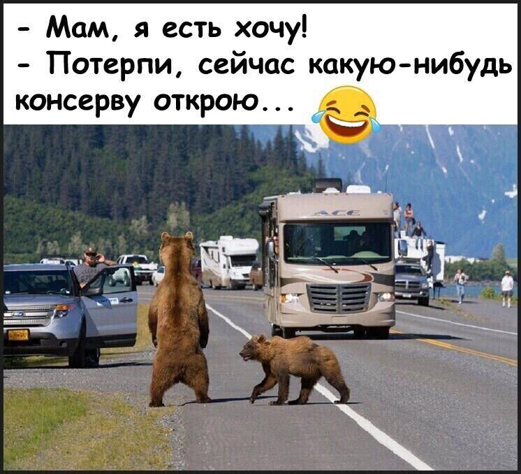 Мам я есть хочу Потерпи сейчас какуюнибудь консерву открою д