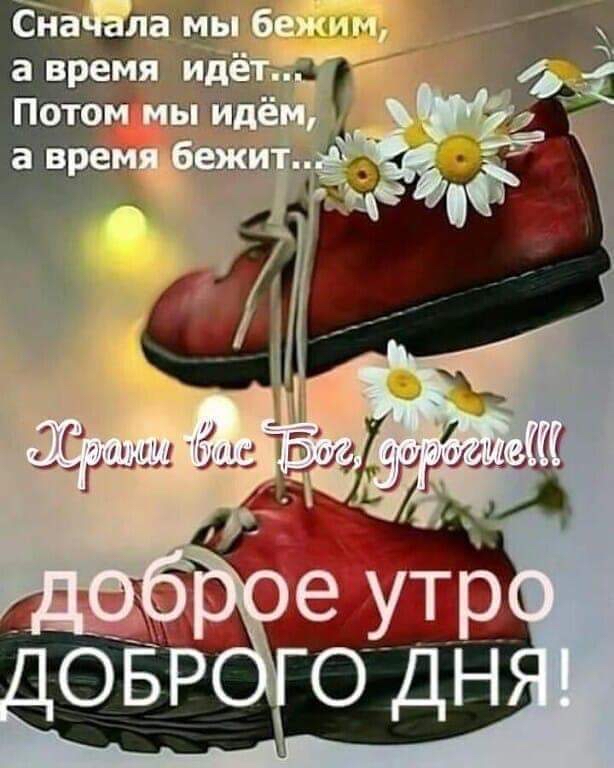 ГУПЭЦ СГ _____
