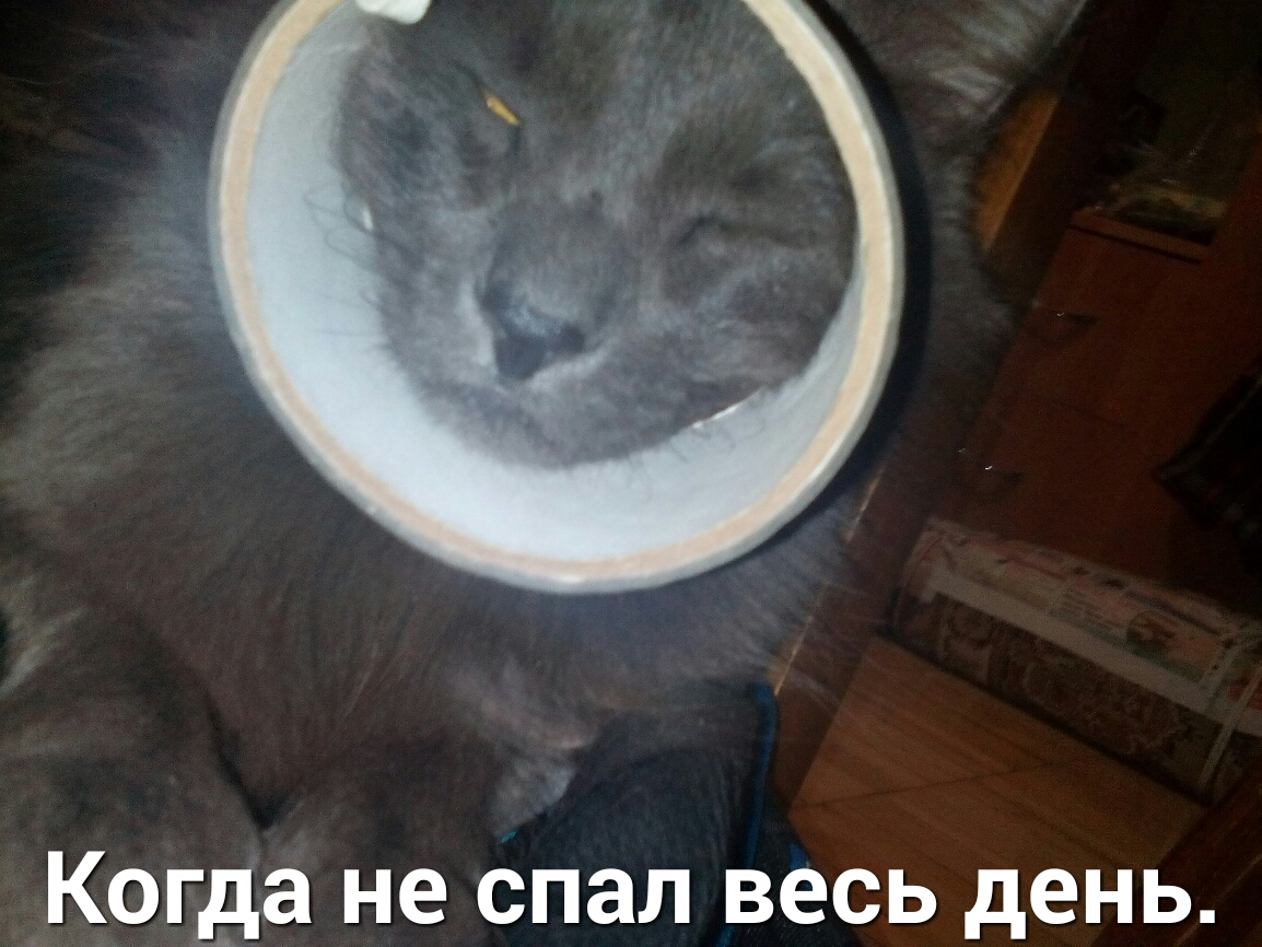 Когда не спал весь день