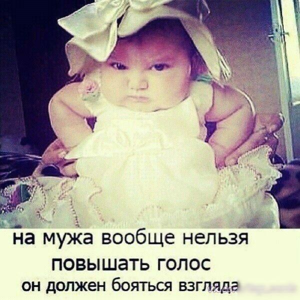 на муіа вообще нельзя повышать ГОЛОС он должен бояться взгляда