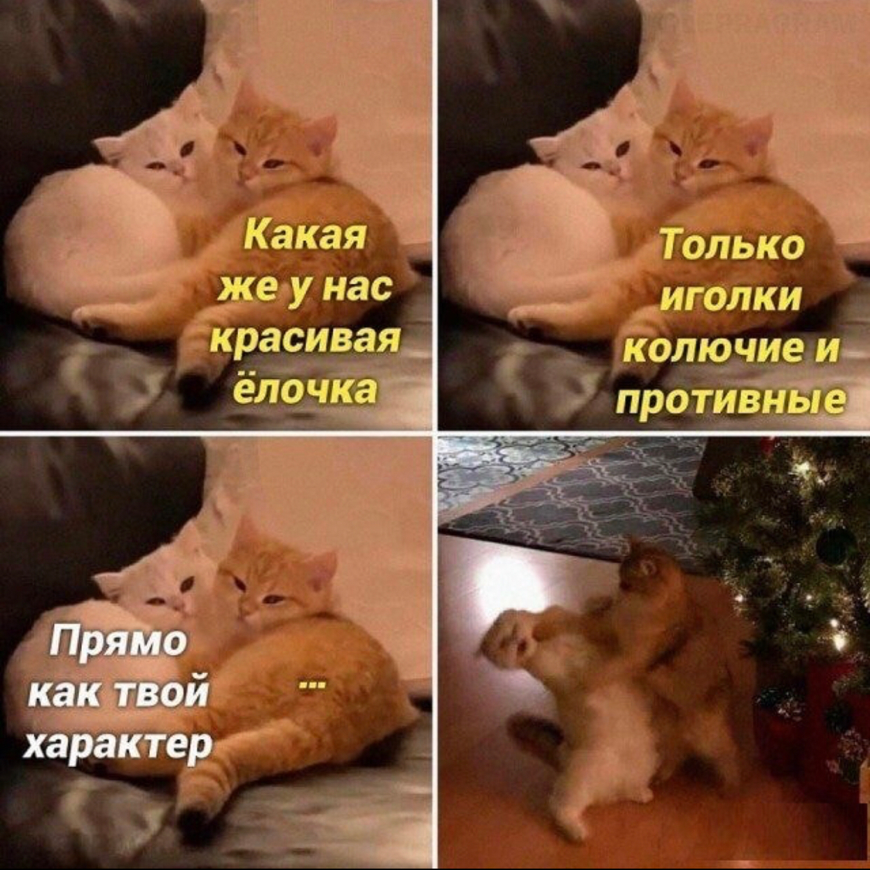 Какая У нас
