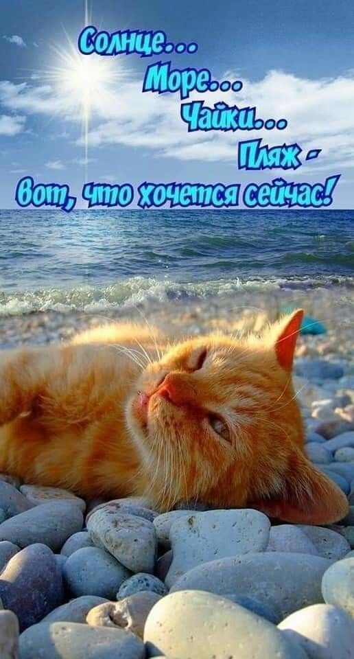 Сг эйххзщ