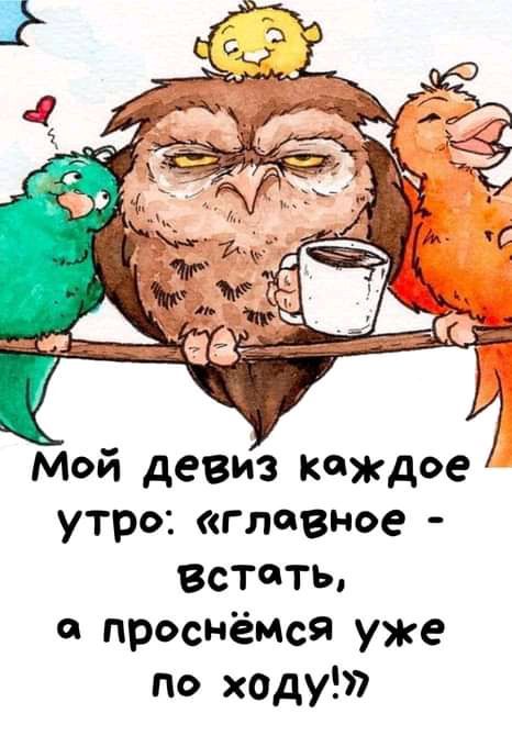 Мой девиз каждое утро главное Встать о проснемся уже по ходу