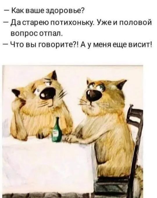 Как ваше здоровье Да старею потихоньку Уже и половой вопрос отпал Что вы говорите А у меня еще висит