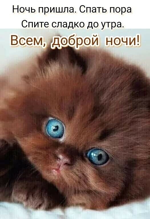 Ночь пришла Спать пора Спите сладко до утра Всем Доброй ночи