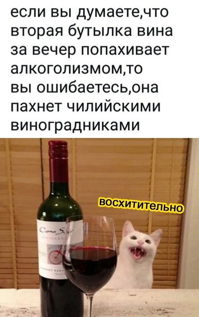если вы думаетечто вторая бутылка вина за вечер попахивает алкоголизмомто вы ошибаетесьона пахнет чилийскими ВИНОГраДНИКЭМИ