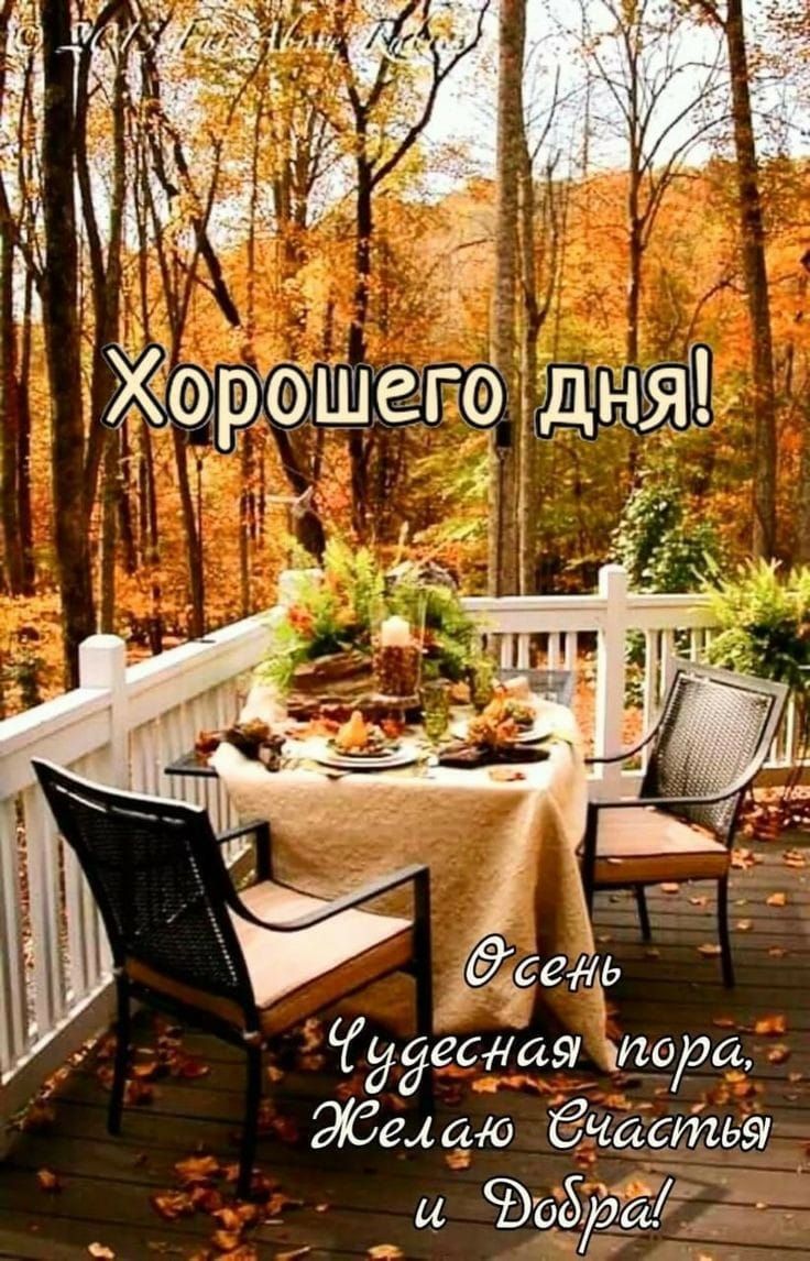 Хёщёіошего Я Ё еснця тора ЭСехшо бчастья и 505