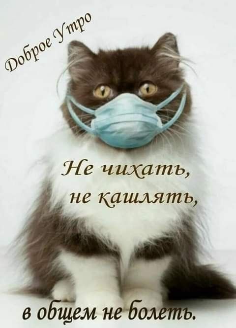 Ле чихать не кашлять