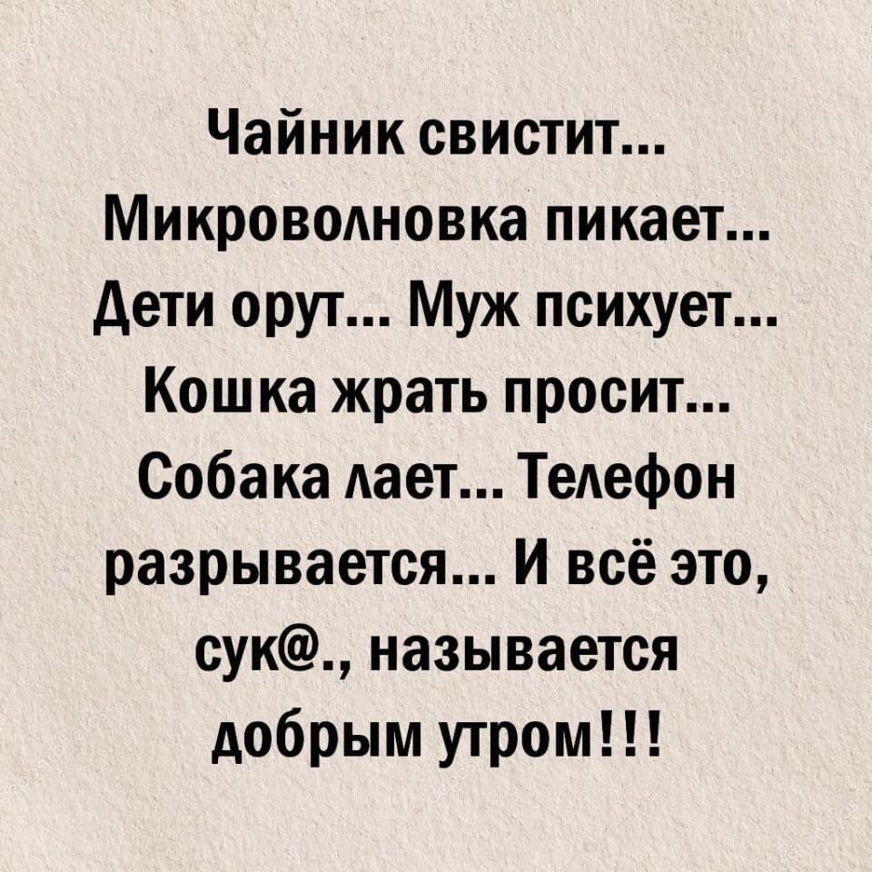 Чайник свистит Микроволновка пикает дети орут Муж психует Кошка жрать  просит Собака дает Телефон разрывается И всё это сук называется добрым  утром - выпуск №1538906