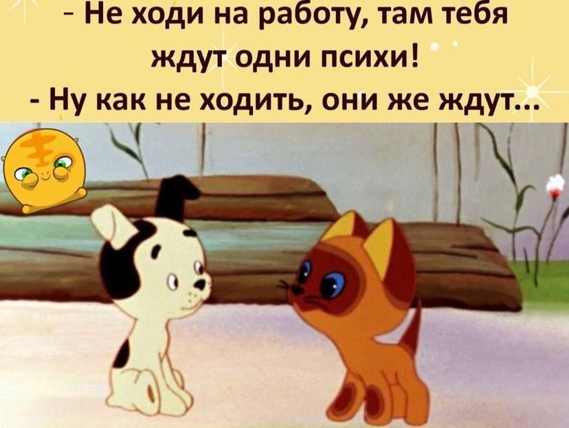 Не ходи на работу там тебя ждут одни психи Ну как не ходить они же ждут