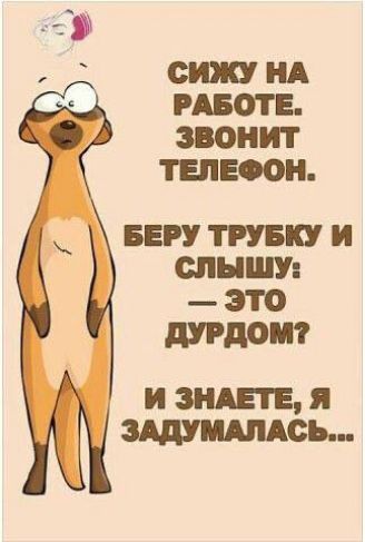 сижу НА РАБОТЕ ЗВОНИТ ТЕПЕООН БЕРУ ТРУБ И слышу это тдот и видете я зшишсь