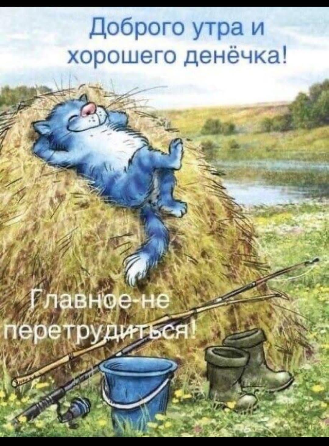Доброго утра и хорошего денёчка ГлаВНоене перетрхцитьёя _