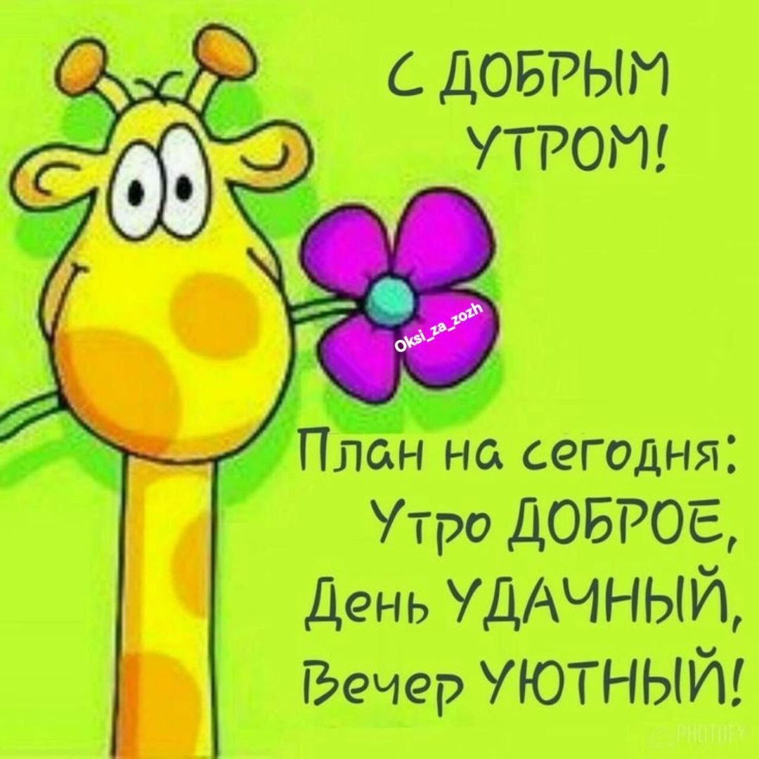 ДОБРЫЙ УТРО План на сегодня Утро дОБРОЕ День УДАЧНЫЙ Бечер УЮТНЫЙ