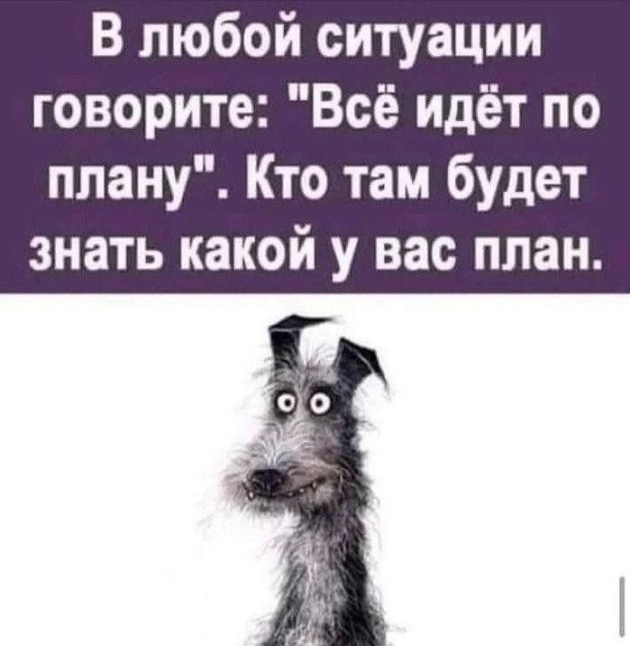 В любой ситуации говорите Всё идёт по плану Кто там будет знать какой у вас план