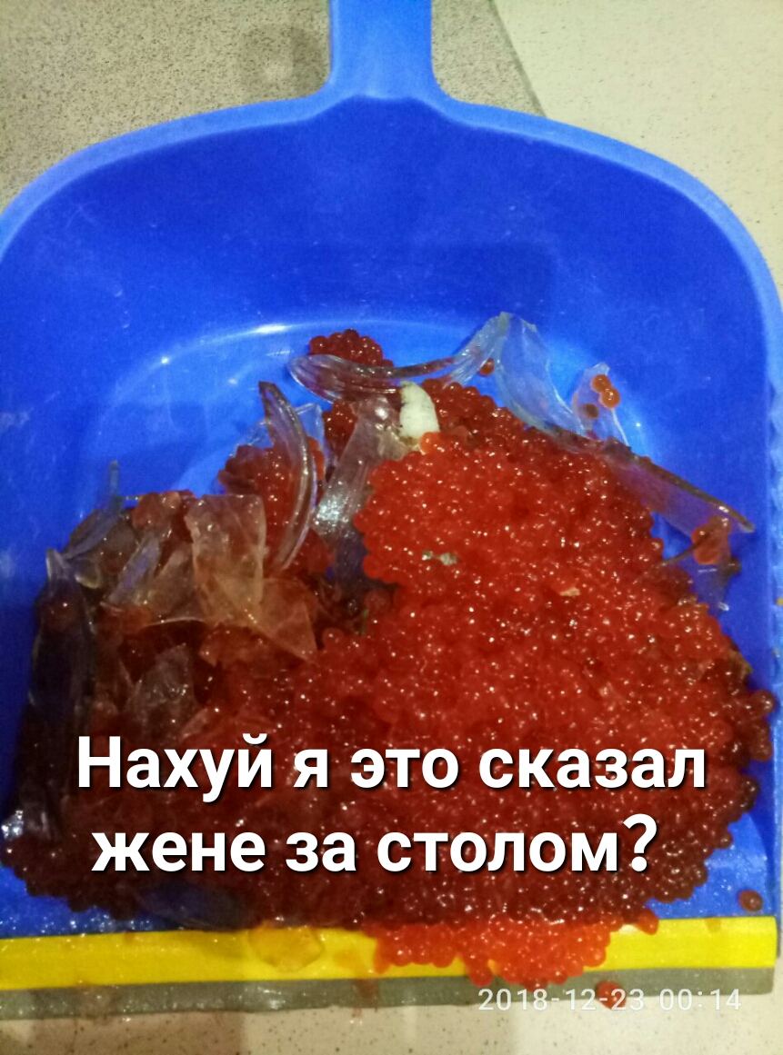 и вы Ча _ А _ 3 Нахуй я _это сказал жене за столом