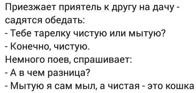 Приезжает приятель к другу на дачу садятся обедать Тебе тарелку чистую или мытую Конечно чистую Немного поев спрашивает А в чем разница Мытую я сам мыл а чистая это кошка